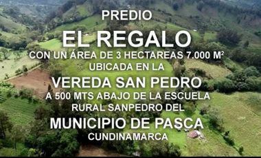 VENDO FINCA PASCA, CUNDINAMARCA - VEREDA SAN PEDRO A 500 metros DEBAJO DE LA ESCUELA $250.000.000 NEGOCIABLES.