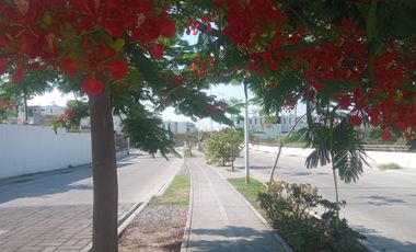 Casa en venta en Xochitepec Morelos, a 4 km de la autopista Acapulco Cuernavaca, Residencial Real Santa Fe II II.