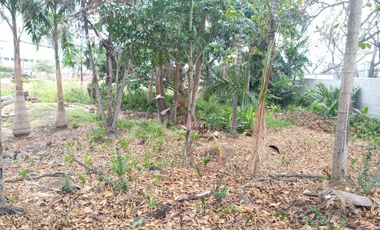 Terreno de venta en la Urbanización Rancho Alegre, Vía a Daule, 1016 m2.