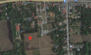Agricultural lot for Sale in Alitagtag, Batangas