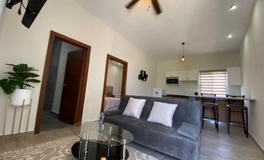 DEPARTAMENTO AMUEBLADO EN VILLA JARDÍN, LERDO, DURANGO