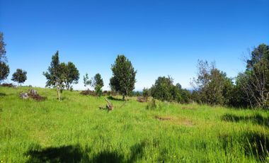 REBAJADAS, EXCLUSIVAS PARCELAS A 5KM DE CUNCO