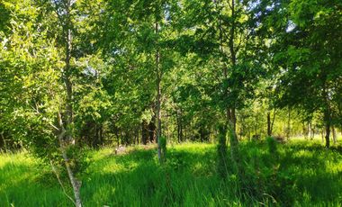 REBAJADAS, EXCLUSIVAS PARCELAS A 5KM DE CUNCO