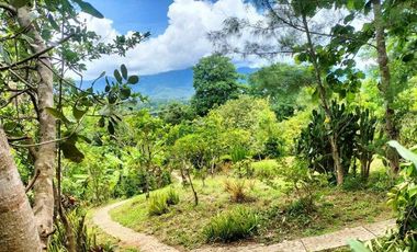 Pai - Mae Hong Son: Beautiful plot of 4.732 m2 (nearly 3 Rai) with 2 houses and paved access