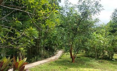 Pai - Mae Hong Son: Beautiful plot of 4.732 m2 (nearly 3 Rai) with 2 houses and paved access