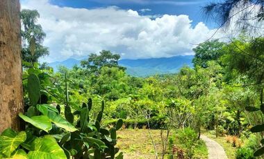 Pai - Mae Hong Son: Beautiful plot of 4.732 m2 (nearly 3 Rai) with 2 houses and paved access