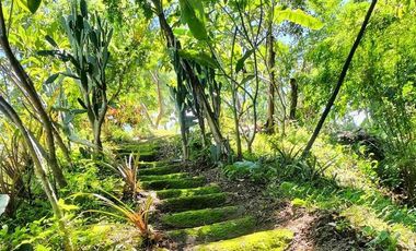 Pai - Mae Hong Son: Beautiful plot of 4.732 m2 (nearly 3 Rai) with 2 houses and paved access
