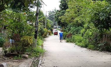 Pai - Mae Hong Son: Beautiful plot of 4.732 m2 (nearly 3 Rai) with 2 houses and paved access