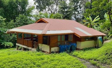 Pai - Mae Hong Son: Beautiful plot of 4.732 m2 (nearly 3 Rai) with 2 houses and paved access