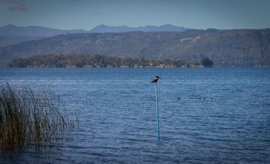 Espectacular Parcela de 5000m2 en Condominio con Acceso a Playa en Lago Calafquén, Panguipulli