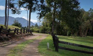 Espectacular Parcela de 5000m2 en Condominio con Acceso a Playa en Lago Calafquén, Panguipulli