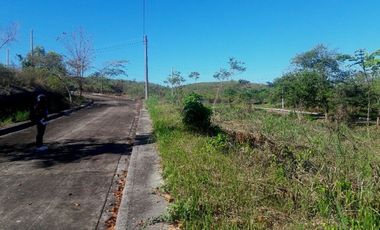 SUMMERHILLS RESIDENTIAL LOTS FOR SALE IN TAMIAO, COMPOSTELA, CEBU
