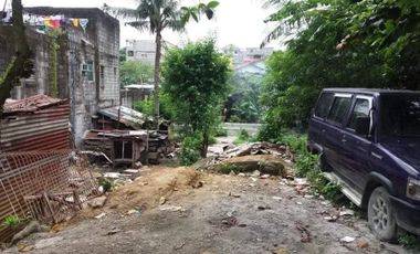 Residential Vacant Lot for Sale Novaliches