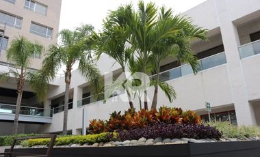 OFICINAS Y LOCALES EN RENTA