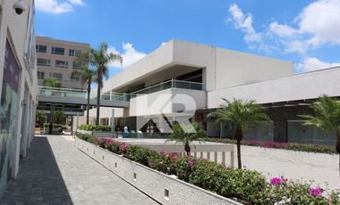 OFICINAS Y LOCALES EN RENTA