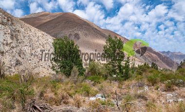 Parcela en Cochiguaz con agua de riego. 6.100 m2., Valle del Elqui. $60 millones