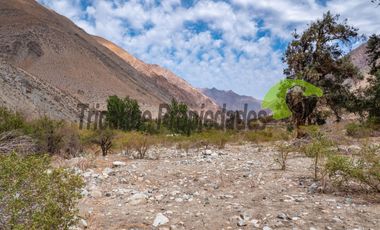 Parcela en Cochiguaz con agua de riego. 6.100 m2., Valle del Elqui. $60 millones