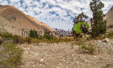Parcela en Cochiguaz con agua de riego. 6.100 m2., Valle del Elqui. $60 millones