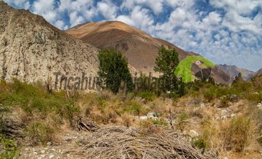Parcela en Cochiguaz con agua de riego. 6.100 m2., Valle del Elqui. $60 millones