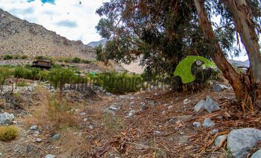Parcela en Cochiguaz con agua de riego. 6.100 m2., Valle del Elqui. $60 millones
