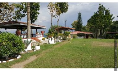 Vendo finca ganadera 60 cuadras en la Virginia  - Risaralda