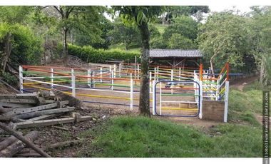 Vendo finca ganadera 60 cuadras en la Virginia  - Risaralda