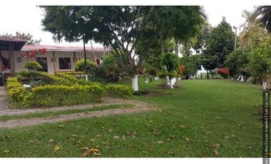 Vendo finca ganadera 60 cuadras en la Virginia  - Risaralda
