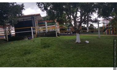 Vendo finca ganadera 60 cuadras en la Virginia  - Risaralda