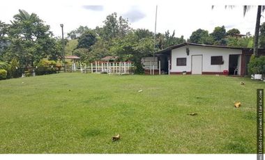 Vendo finca ganadera 60 cuadras en la Virginia  - Risaralda