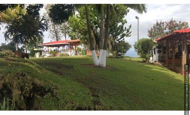 Vendo finca ganadera 60 cuadras en la Virginia  - Risaralda
