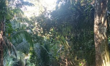 TERRENO 3 HECTAREAS PLANO EN CARRETERA AUCALOMA PARA PROYECTO