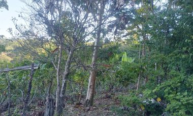 TERRENO 3 HECTAREAS PLANO EN CARRETERA AUCALOMA PARA PROYECTO