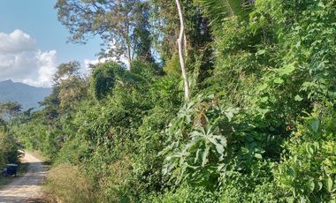 TERRENO 3 HECTAREAS PLANO EN CARRETERA AUCALOMA PARA PROYECTO
