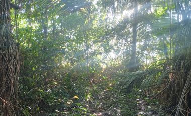 TERRENO 3 HECTAREAS PLANO EN CARRETERA AUCALOMA PARA PROYECTO