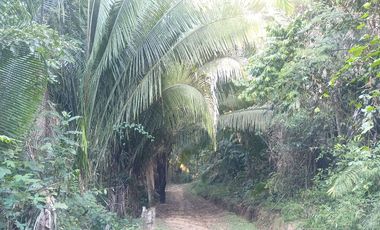 TERRENO 3 HECTAREAS PLANO EN CARRETERA AUCALOMA PARA PROYECTO