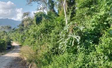 TERRENO 3 HECTAREAS PLANO EN CARRETERA AUCALOMA PARA PROYECTO