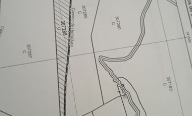 TERRENO 3 HECTAREAS PLANO EN CARRETERA AUCALOMA PARA PROYECTO