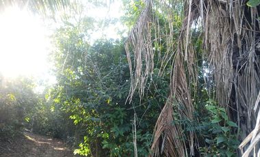 TERRENO 3 HECTAREAS PLANO EN CARRETERA AUCALOMA PARA PROYECTO