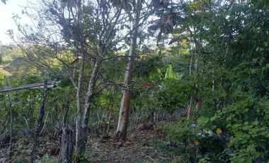 TERRENO 3 HECTAREAS PLANO EN CARRETERA AUCALOMA PARA PROYECTO