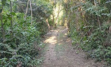 TERRENO 3 HECTAREAS PLANO EN CARRETERA AUCALOMA PARA PROYECTO