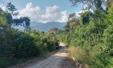 TERRENO 3 HECTAREAS PLANO EN CARRETERA AUCALOMA PARA PROYECTO