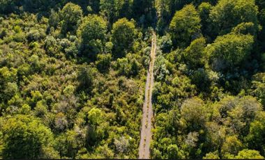 Parcela en Pucón cercana al centro.