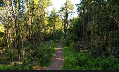 Parcela en Pucón cercana al centro.
