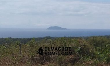 OCEAN VIEW LAND WITH MILLION DOLLAR VIEW OF APO ISLAND  ( 1.3 HECTARES )