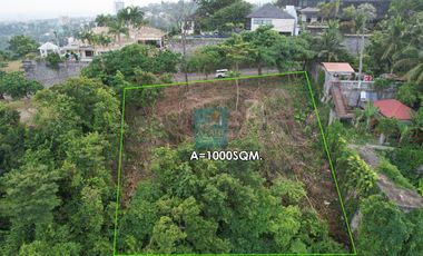 Exclusive Residential Lot for Sale in Maria Luisa Estate Park