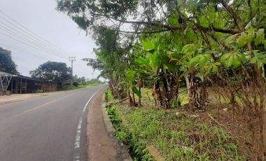 Tanah 2500 m Pinggir Jalan Raya Labuan Pandeglang