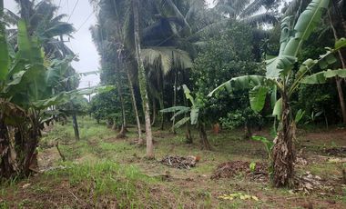 Tanah 2500 m Pinggir Jalan Raya Labuan Pandeglang
