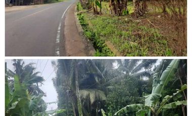 Tanah 2500 m Pinggir Jalan Raya Labuan Pandeglang