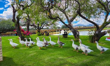 TERRENOS RESIDENCIALES EN VENTA DENTRO DE VIÑEDO EN QRO.