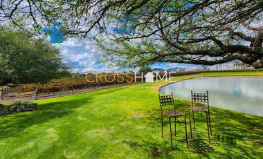 TERRENOS RESIDENCIALES EN VENTA DENTRO DE VIÑEDO EN QRO.